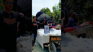 ogohogoh serigala hitam siap menerkam [upl. by Irwin]