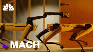 Boston Dynamics 4Legged Robot Spot Could Be Coming To An Office Near You  Mach  NBC News [upl. by Demitria]