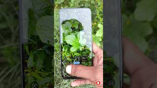 motorola g45 5G 50Megapixel Camera Review natural Camera smartphone viralshort shorts 2024 [upl. by Assadah]