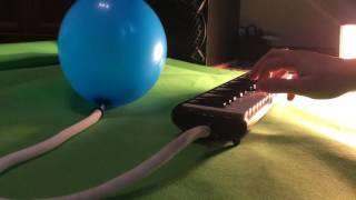 Balloon pumped reggae melodica [upl. by Ashely656]