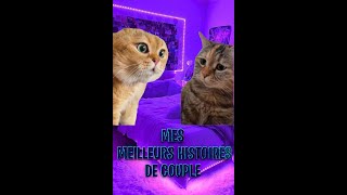 Histoires 2 Chats  Mes MEILLEURS HISTOIRES de COUPLES [upl. by Gasper]