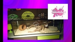 Comment fabriquer un terrarium pour rongeurs [upl. by Clellan57]