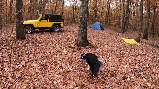 Green Ridge State Forest Campsite 44 [upl. by Seften]