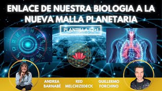 20 ENLACE DE NUESTRA BIOLOGÍA A LA NUEVA MALLA PLANETARIA con Andrea Barnabé [upl. by Ayle558]