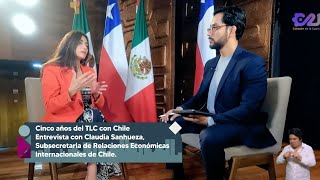 Braulio Luna entrevista a Claudia Sanhueza de Relaciones Económicas Internacionales de Chile [upl. by Eledoya]