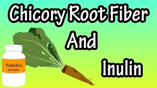 What Is Chicory Root FiberWhat Is Inulin [upl. by Adnowat]