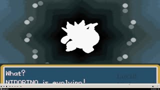 Pokemon Fire Red Nidoran male Evolves to Nidorino and to Nidoking [upl. by Haerdna]