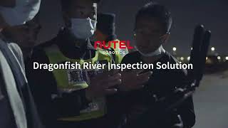 Dragonfish river inspection solution [upl. by Spillihp]