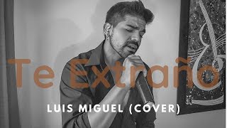 Luis Miguel  Te Extraño  Cover Audio David Fernando [upl. by Lebam]