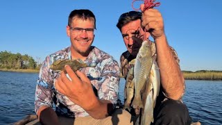 New Species LADYFISH PIGFISH CROAKER Catch Clean Cook [upl. by Lanam284]