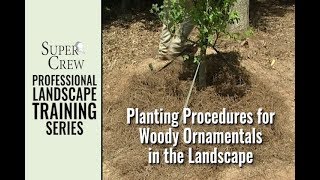 SuperCrew Planting Procedures for Woody Ornamentals [upl. by Corder]