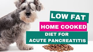 Low fat diet for acute pancreatitis in dogs [upl. by Asiaj]