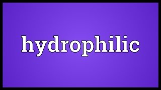 Hydrophilic Meaning [upl. by Cliffes198]