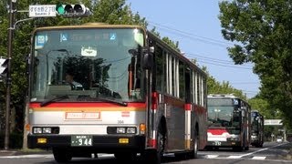 通勤高速バスなら座って渋谷へ TOKYU ELiner [upl. by Faxon]