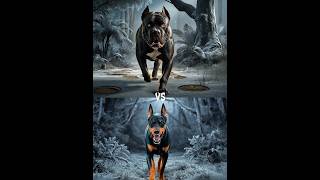 Doberman vs Cane Corso vs Rottweiler Saint Bernard Chihuahua  Battle [upl. by Dranal29]