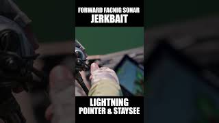 Forward Facing Sonar Jerking with Lightning Pointer amp Staysee 【02 03 04 05 06 07 08 09 10】 [upl. by Griz]