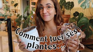 Jai tué mes plantes cet été… [upl. by Nedda]