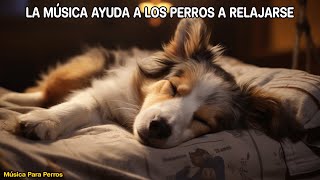 🐶Música Relajante Para Calmar Mascotas 💛 MUSICOTERAPIA Para Gatos Y Perros Inquietos O Nerviosos [upl. by Annasus]