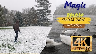 Winter Wonderland Adventure in 4K  First Snowfall amp Visiting Swans  Snow in France 2024 [upl. by Web]