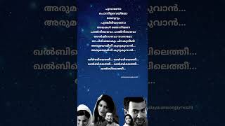 Kizhakku Pookkum song lyrics malayalamsonglyrics Anwarmoviesong lovehitsong trendingshorts hit [upl. by Yenots793]