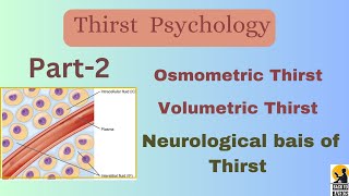 Thirstpsychology osmometric volumetric and neural mechanisms thirst part2 [upl. by Mazlack]