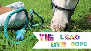 DIY Tie Dye Lead Rope [upl. by Ardnuahc174]