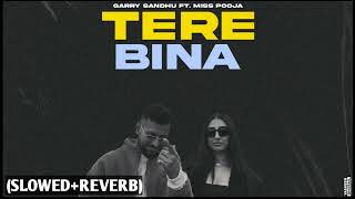 Tere Bina  slowed reverb Garry Sandhu ft Miss Pooja  New Punjabi Video Song 2024 [upl. by Budding]