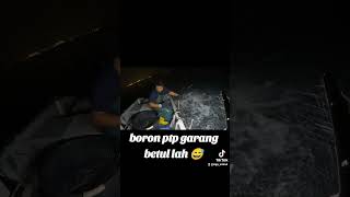 Musim boron dah hampir gais  nanti kan video boron dari gemok rawai😊 [upl. by Narot]