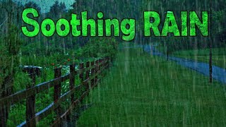 🎧 Fall Asleep with Soothing Rain Sounds  Ambient Noise For Sleeping Ultizzz day55 [upl. by Tnias]