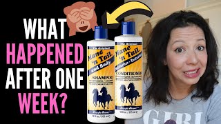 HAIR LOSS SUFFERER REVIEWS MANE AND TAIL SHAMPOO  CONDITIONER BEFORE and AFTER and TRUTHS 2020 [upl. by Chrisy]