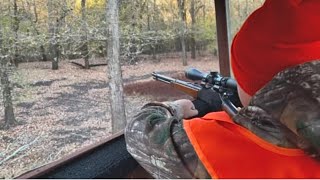 Shot Fired Deer Hunting at the Bayou [upl. by Oilegor6]