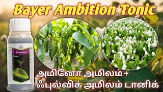 Bayer ambition tonic tamil  ambition use  amino acid fulvic acid  plant growth regulators  tonic [upl. by Briana]