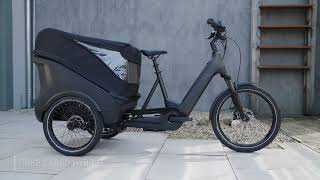 CUBE Trike Hybrid Cargo 750 grey n reflex  fahrradde [upl. by Ardekal546]