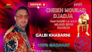 Cheikh Mourad Djaja 2024 amp Hamid la main  Galbi Khabetni LIVE STUDIO [upl. by Eikcir]