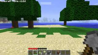 Lets Play Minecraft  Episode 1 It Begins [upl. by Nilla]