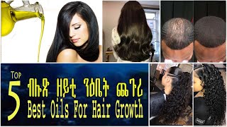 Top 5  5 ንዕቤት ጨጉሪ ዝኸውን ብሉጽ ዘይቲ  Best Oils For Hair Growth [upl. by Nido]