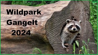 wildpark Gangelt 2024 [upl. by Eeluj]