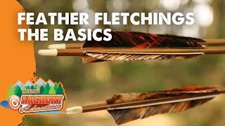 Feather Fletchings the basics how to identify right and left wing feathers [upl. by Sirac]