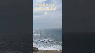 Enjoy with naturenature beach relaxing travelsl viralvideo srilankatravelvlog [upl. by Eeneg]