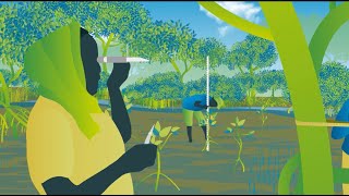 Mangrove Restoration  series  Video 4  Sustaining Mangroves Bahasa [upl. by Aydin]