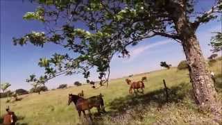 Easy Rider Tours  Colors of the Alentejo  Biking through Portugal [upl. by Nyvets683]