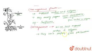 What are chasmogamous flowers Can crosspollination occur in cleistogamous [upl. by O'Reilly]