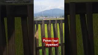 Panas tapi nyaman ini suasana di pemandangan sawah desayangindah damainyahidupdidesa [upl. by Eirojram]