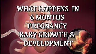 6 Months Pregnant  Pregnancy Symptoms amp Babys Development [upl. by Mathe]