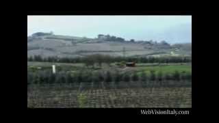 Brunello di Montalcino Tuscany Tour [upl. by Noivax]