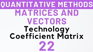 22 Technology Coefficient Matrix InputOutput Analysis Leontief Model MEC103  Kanishka Luthra [upl. by Annaig885]