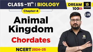 Class 11 Biology Chapter 4  Animal Kingdom  Chordates  L29  Shubham Sir [upl. by Pish378]