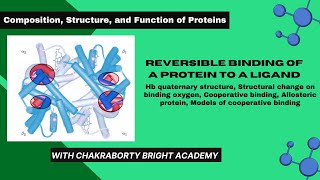 Reversible Binding of a Protein to a Ligand II Structural Change in Hemoglobin on Oxygen Binding [upl. by Amathiste155]