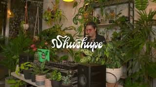 Tropical set en la Muyita by Shushupe [upl. by Saucy]