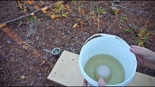 10 DIY Berkey Water Filter [upl. by Gardie]